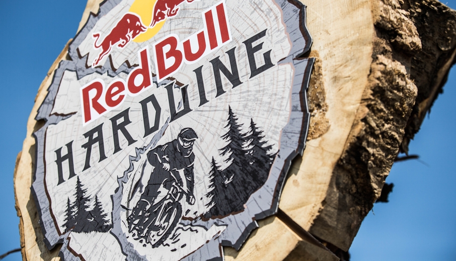 Red Bull Hardline 2014